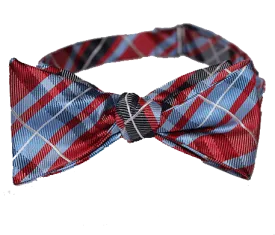 Modern Plaid - Red/Blue