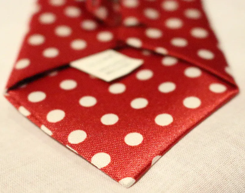 Red Dotted Kids Zipper Tie with Large White Dots